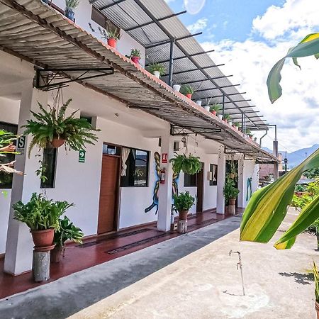 מלון טראפוטו Shoffi'S House Backpackers מראה חיצוני תמונה